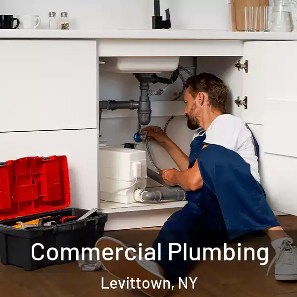  Commercial Plumbing Levittown, NY