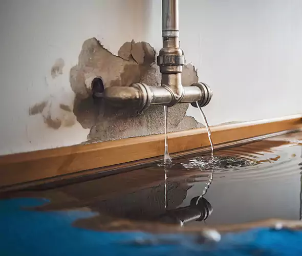 Professional Water Damage Restoration Experts in Levittown, NY — Fast, Reliable & Certified