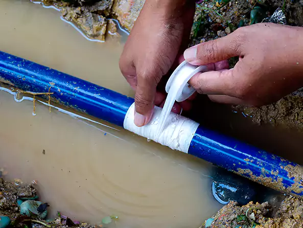  Why Choose Levittown Plumbing Pro for Leak Detection in Levittown, NY?]