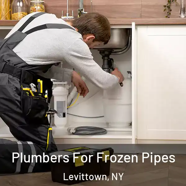  Plumbers For Frozen Pipes Levittown, NY