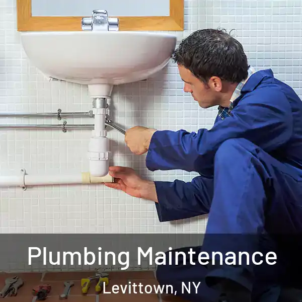  Plumbing Maintenance Levittown, NY