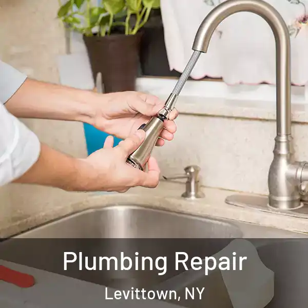  Plumbing Repair Levittown, NY