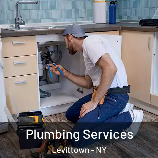  Plumbing Services Levittown - NY