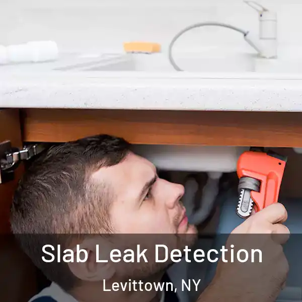  Slab Leak Detection Levittown, NY