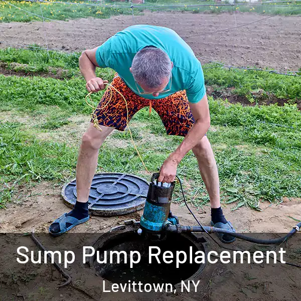  Sump Pump Replacement Levittown, NY