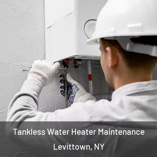  Tankless Water Heater Maintenance Levittown, NY
