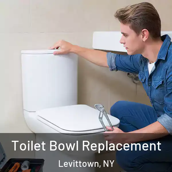  Toilet Bowl Replacement Levittown, NY