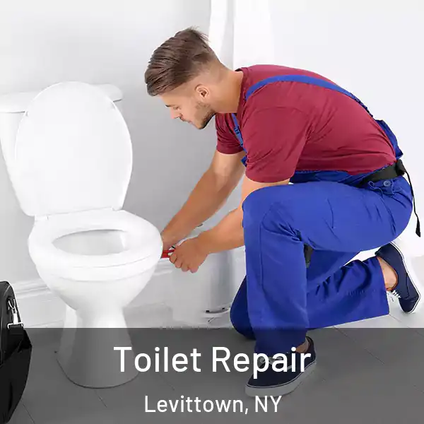 Toilet Repair Levittown, NY