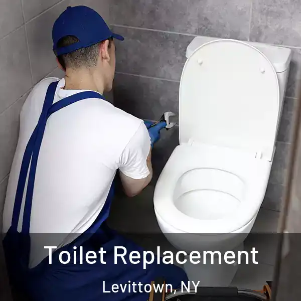  Toilet Replacement Levittown, NY