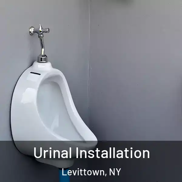 Urinal Installation Levittown, NY