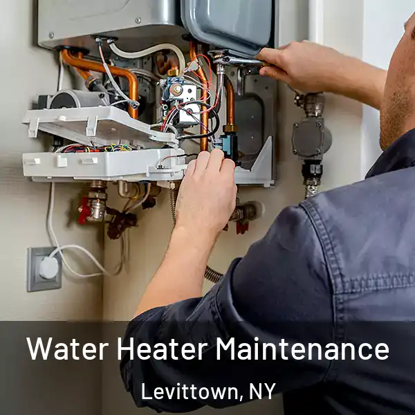  Water Heater Maintenance Levittown, NY