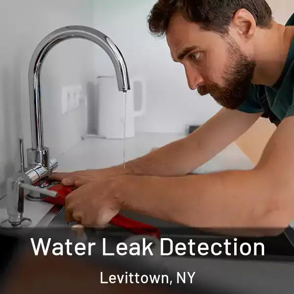  Water Leak Detection Levittown, NY